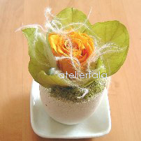 石の器アレンジメントPreserved Flower atelierTALA